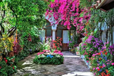 Jardín al aire libre en NEW! Alojamiento - Los Patios de la Ribera