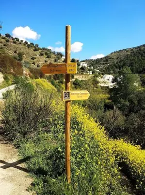 Paisaje cerca de esta casa o chalet