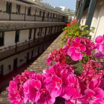 Apartament Alameda center