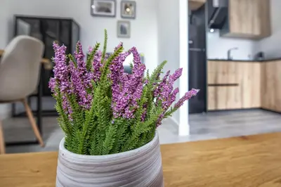 Una cocina o zona de cocina en Garesc Lofts