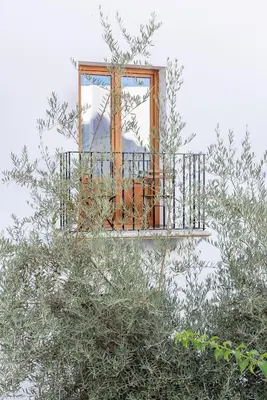 Jardín al aire libre en Hostal Aljibe