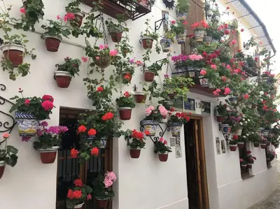 Jardín al aire libre en Geysotur El Templo