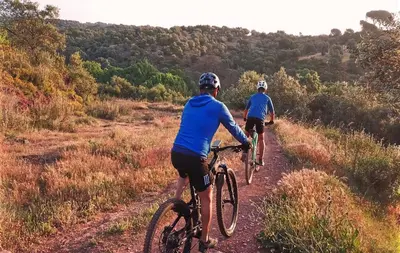 Montar en bicicleta en DWO Finca Los Abetos o alrededores
