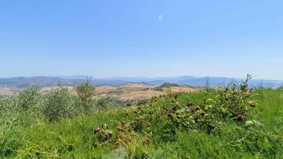 Paisaje cerca de esta casa o chalet