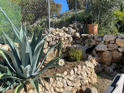 Jardín al aire libre en Maison Andalouse avec piscine