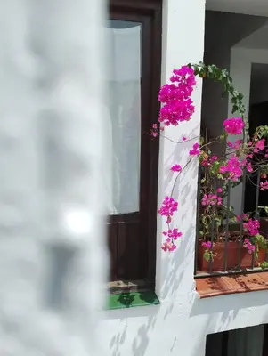 Un balcón o terraza de Claustro Home Casco Histórico Córdoba