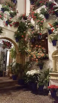Jardín al aire libre en Tu casa en Córdoba fácil aparcamiento
