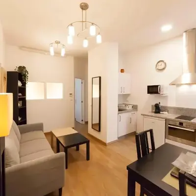 SF - Shiny Apartment in City Centre