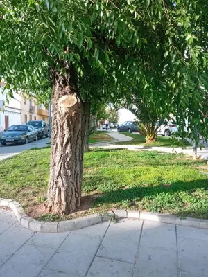 Jardín al aire libre en Apartamento San Miguel